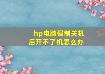 hp电脑强制关机后开不了机怎么办