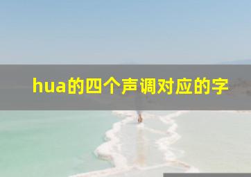 hua的四个声调对应的字