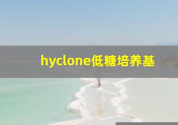 hyclone低糖培养基