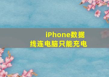 iPhone数据线连电脑只能充电