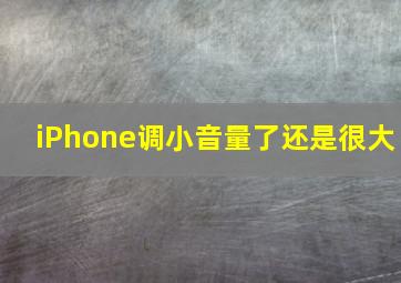 iPhone调小音量了还是很大