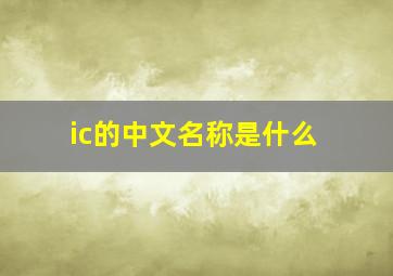 ic的中文名称是什么