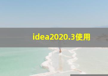 idea2020.3使用