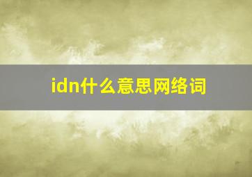 idn什么意思网络词