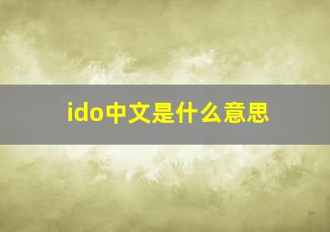 ido中文是什么意思