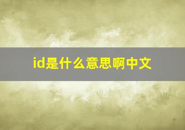 id是什么意思啊中文