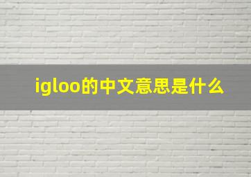 igloo的中文意思是什么