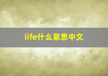 iife什么意思中文