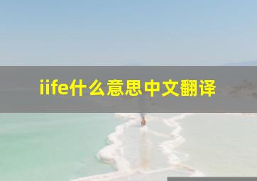 iife什么意思中文翻译