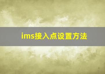 ims接入点设置方法