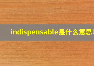 indispensable是什么意思啊