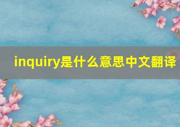 inquiry是什么意思中文翻译