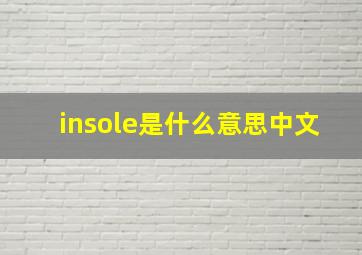 insole是什么意思中文