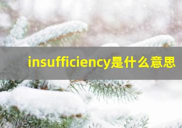 insufficiency是什么意思