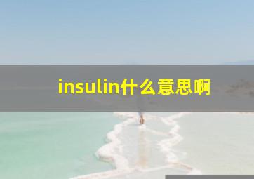 insulin什么意思啊