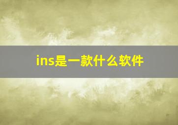 ins是一款什么软件