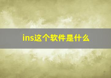 ins这个软件是什么