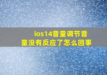 ios14音量调节音量没有反应了怎么回事