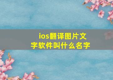 ios翻译图片文字软件叫什么名字