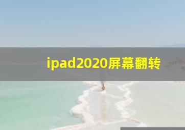 ipad2020屏幕翻转