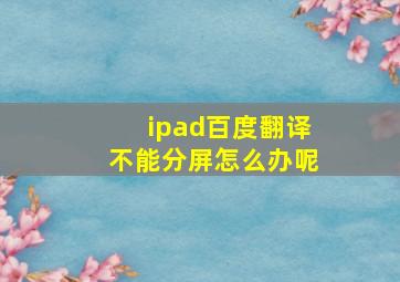 ipad百度翻译不能分屏怎么办呢