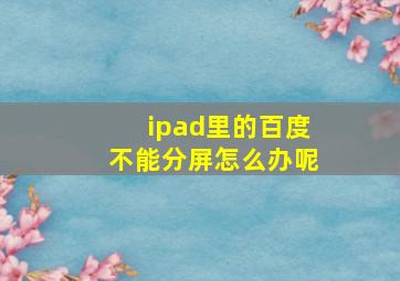 ipad里的百度不能分屏怎么办呢