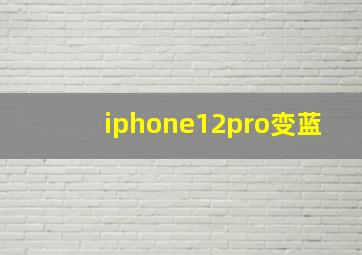 iphone12pro变蓝