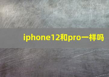 iphone12和pro一样吗