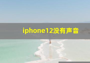 iphone12没有声音