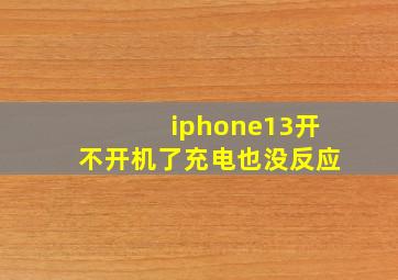 iphone13开不开机了充电也没反应