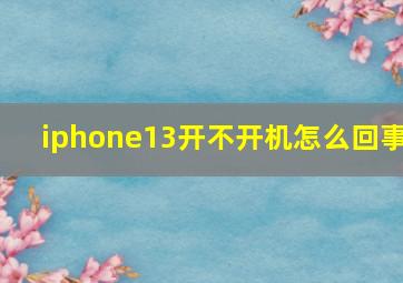 iphone13开不开机怎么回事