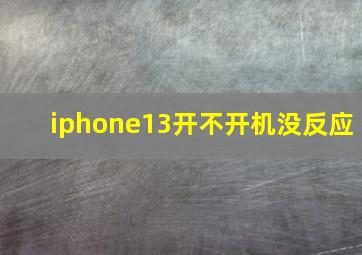 iphone13开不开机没反应