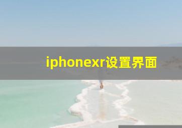 iphonexr设置界面