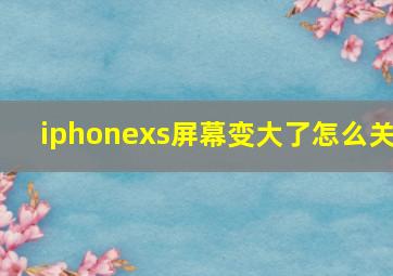 iphonexs屏幕变大了怎么关