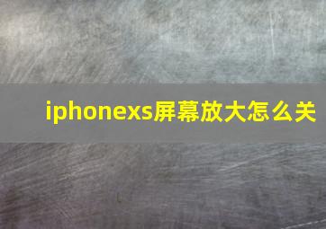 iphonexs屏幕放大怎么关