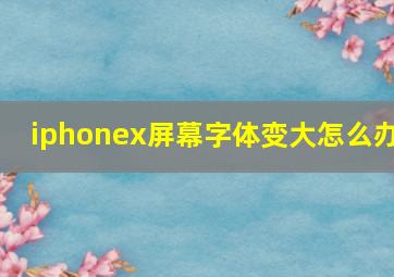 iphonex屏幕字体变大怎么办