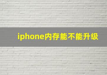 iphone内存能不能升级