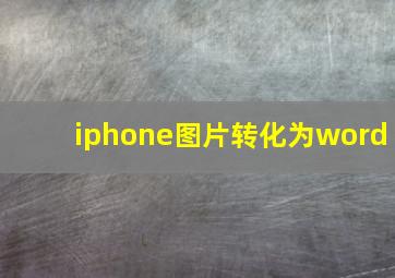 iphone图片转化为word