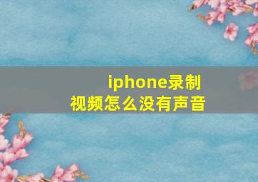 iphone录制视频怎么没有声音