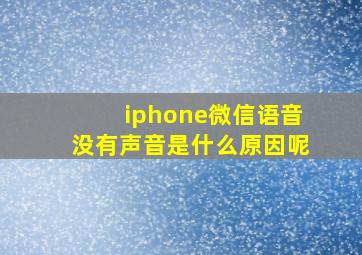 iphone微信语音没有声音是什么原因呢