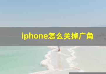 iphone怎么关掉广角