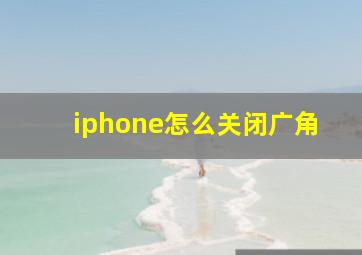 iphone怎么关闭广角