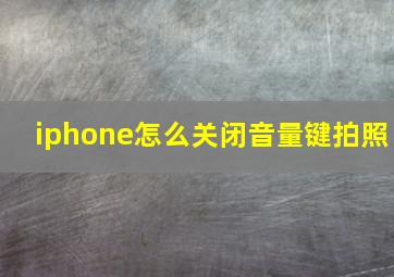 iphone怎么关闭音量键拍照