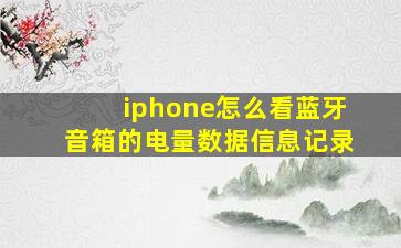 iphone怎么看蓝牙音箱的电量数据信息记录