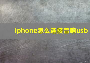 iphone怎么连接音响usb