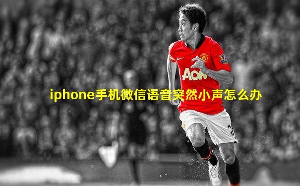 iphone手机微信语音突然小声怎么办