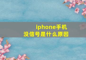 iphone手机没信号是什么原因