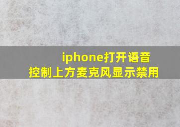 iphone打开语音控制上方麦克风显示禁用