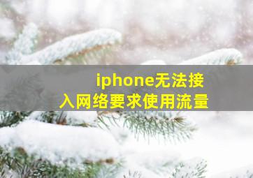 iphone无法接入网络要求使用流量