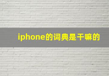 iphone的词典是干嘛的